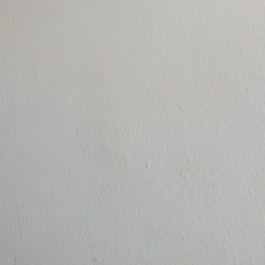 Meet your Posher, Tenzin